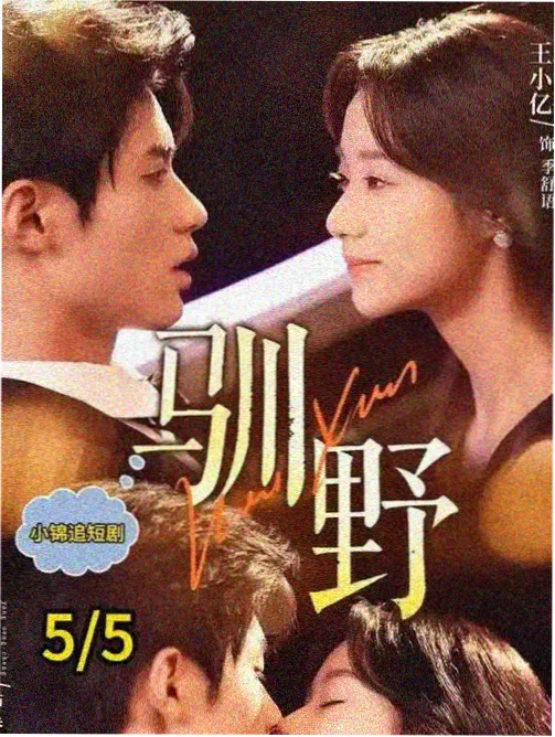 代码诗人 热播第八